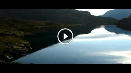 un-fiore-e-una-stella-fabio-concato-24567