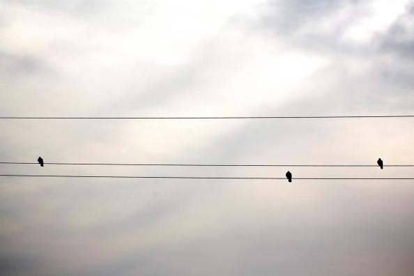 1973926_10203648130752137_1588707332_o