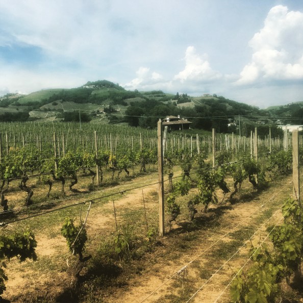 DB7BDE4C-B12B-4694-B23A-2F2CFC8AECF4